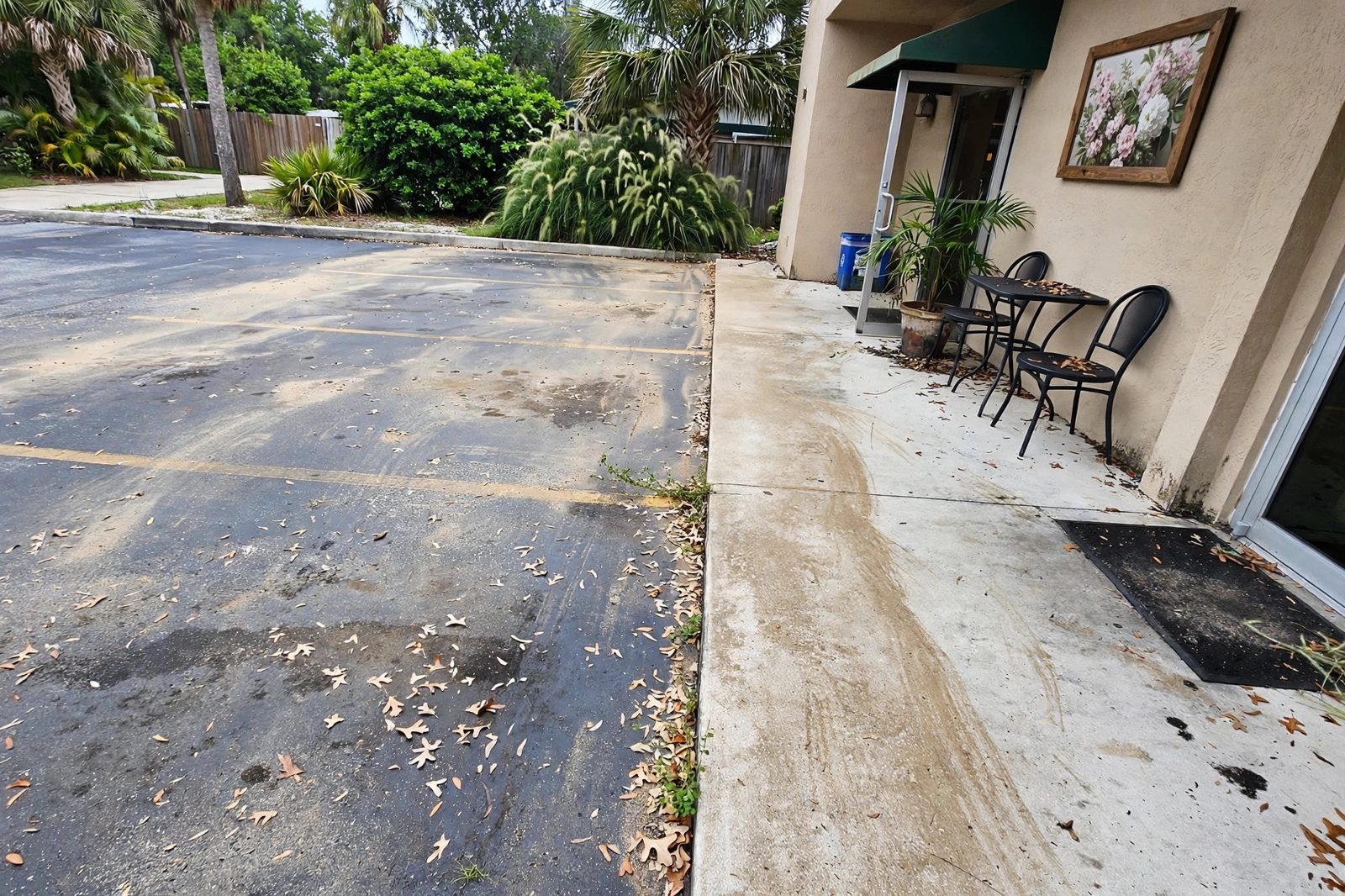 Walkways & Entry Areas before cleaning