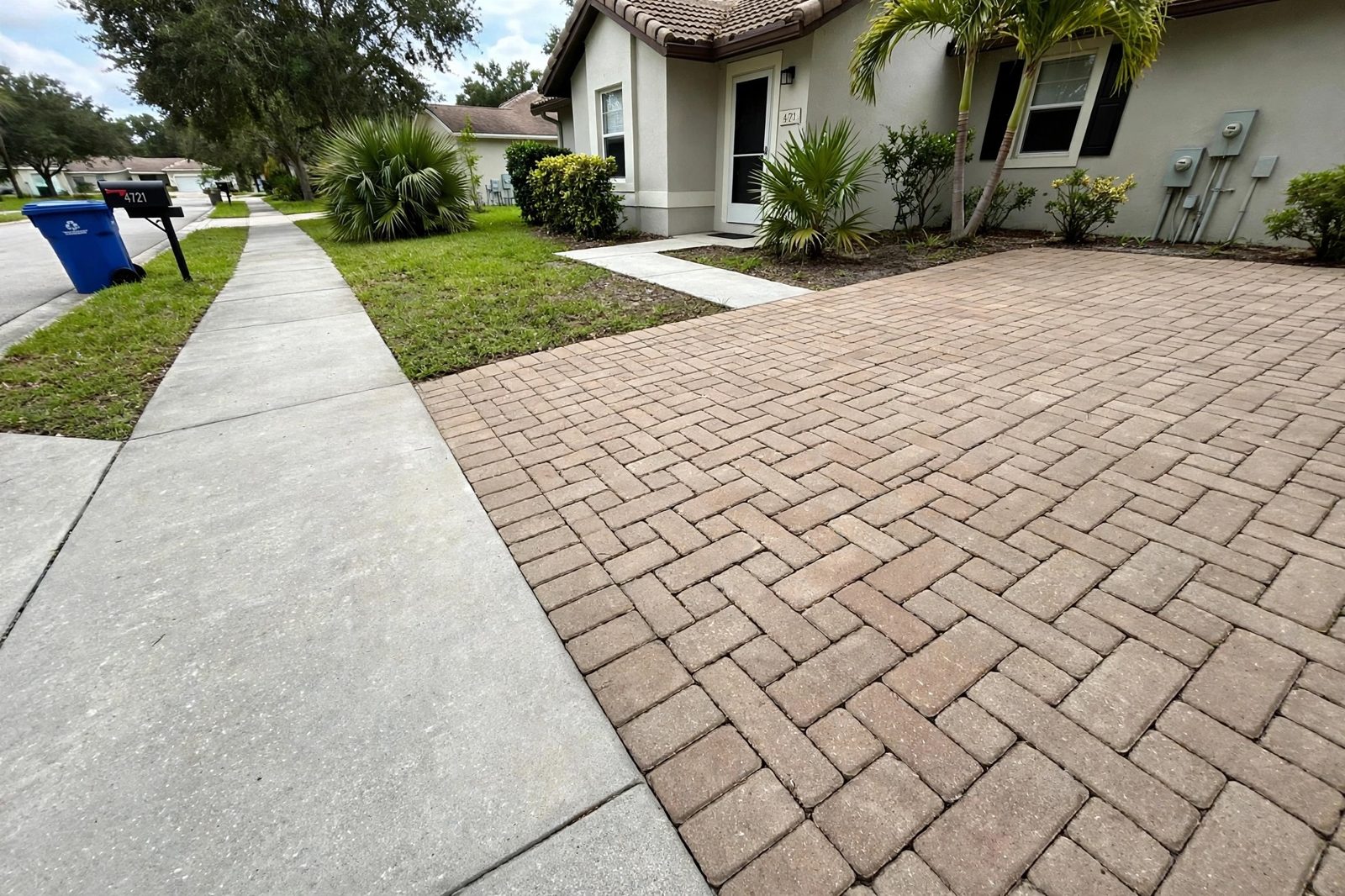 Pavers & Sidewalks after cleaning