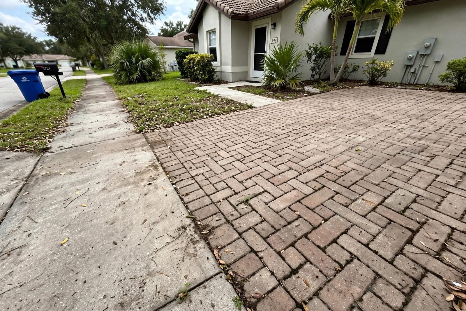 Pavers & Sidewalks before cleaning
